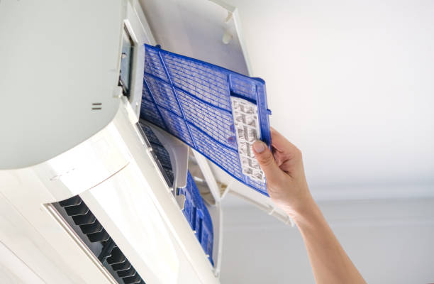 Best Local Air Duct Cleaning Services  in La Feria, TX